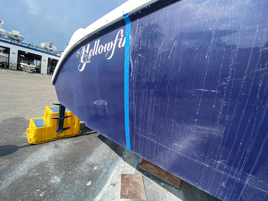 Yellowfin - Photo 02